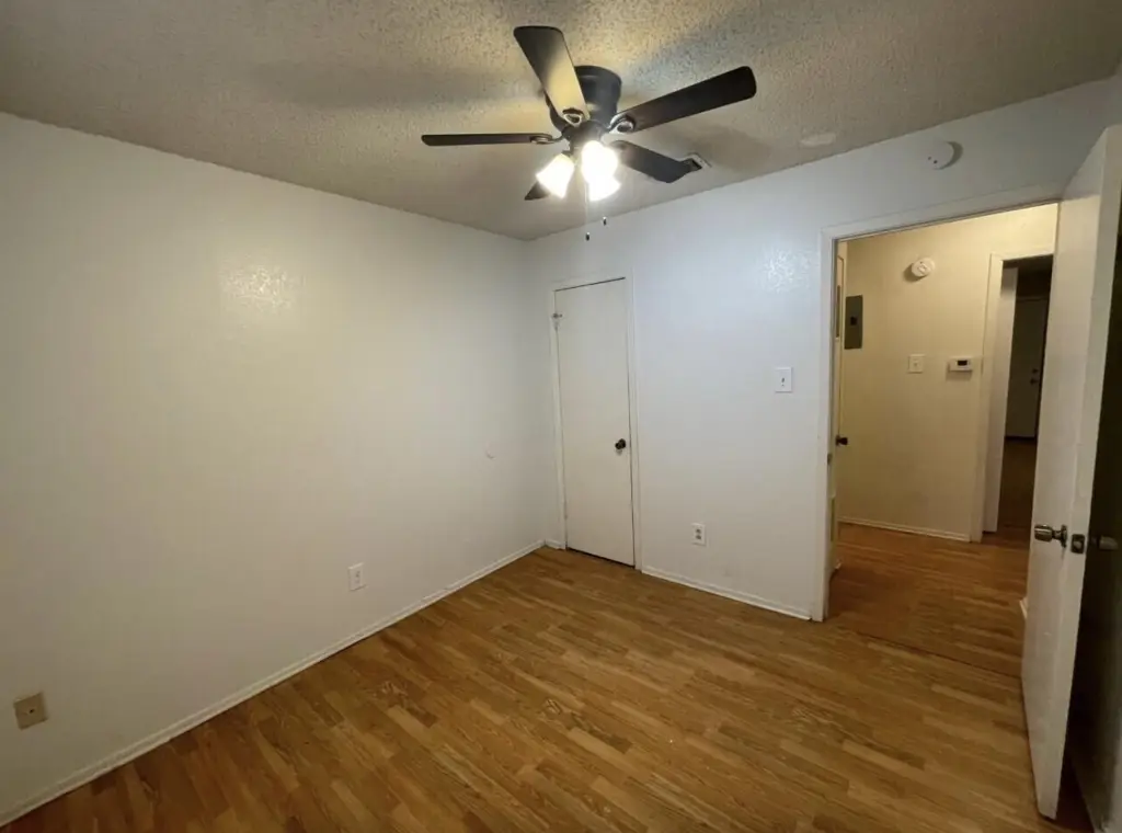Picture 15