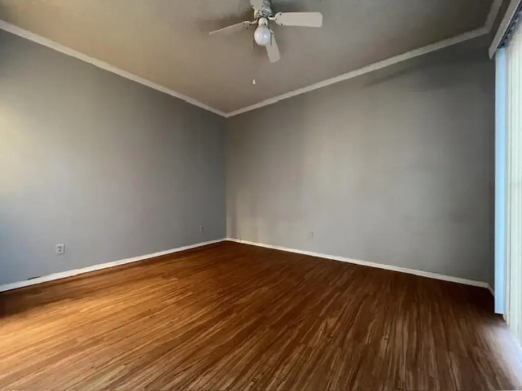 Picture 43