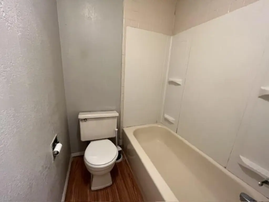 Picture 44