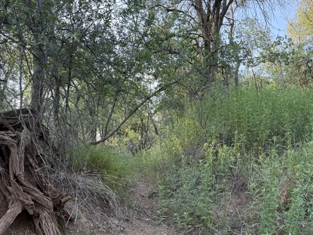 Picture 28