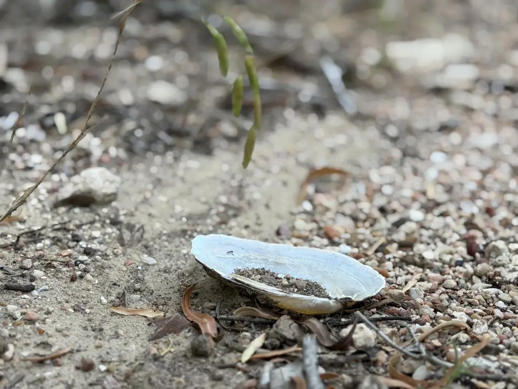 Picture 25