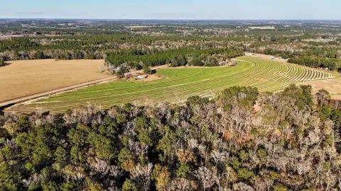 43 Acres of Farmland