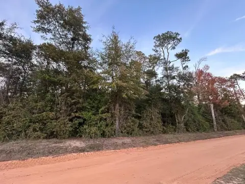 Residential Lots Near Lake Seminole