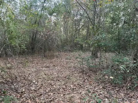 Residential Lots Near Lake Seminole