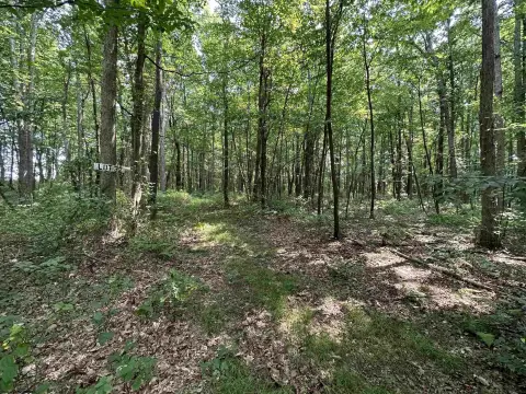 Residential Land in Albright, WV