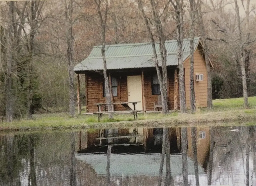 Picture 13