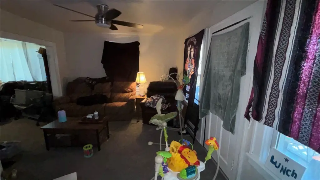 Picture 15