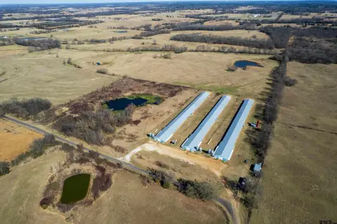 Poultry Farm With Three Houses