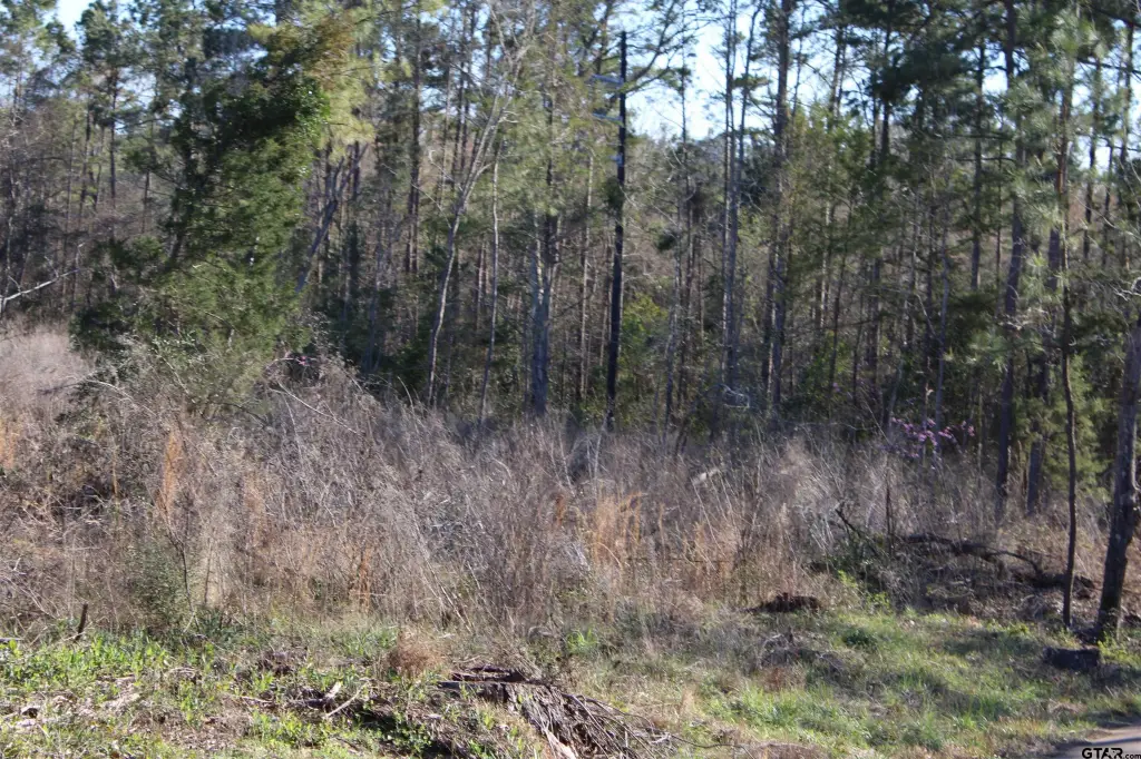 Picture 4