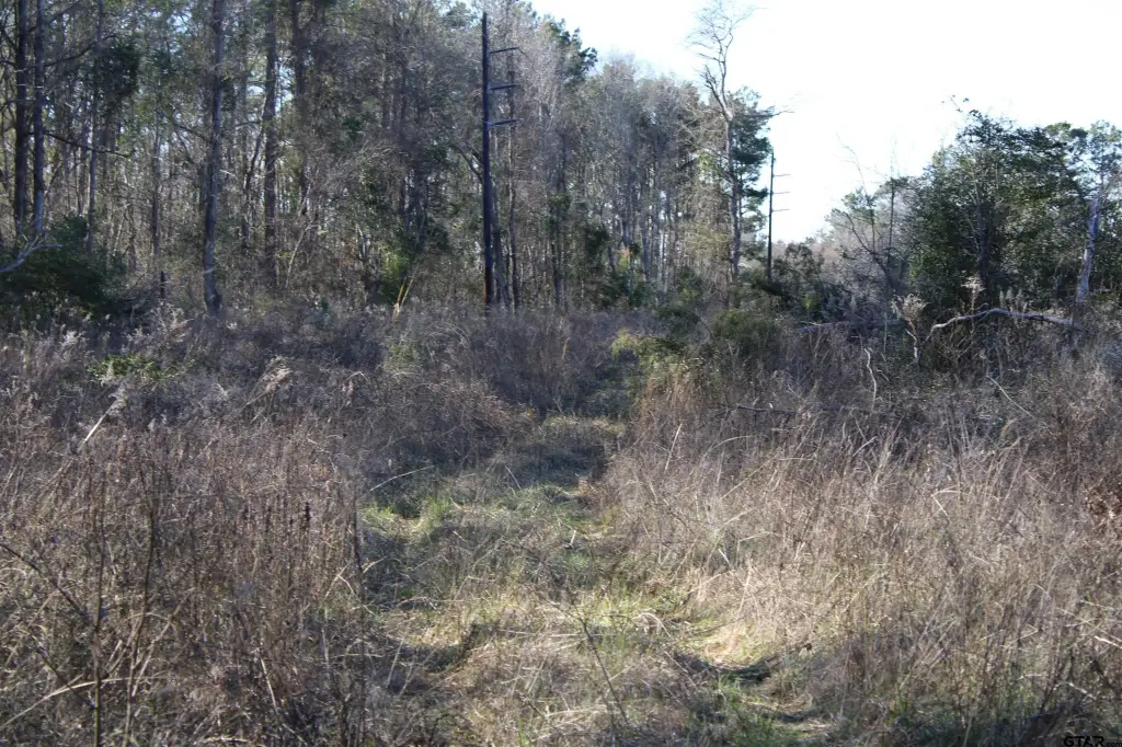 Picture 3