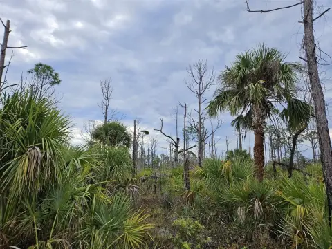 Residential Land in South Gulf Cove