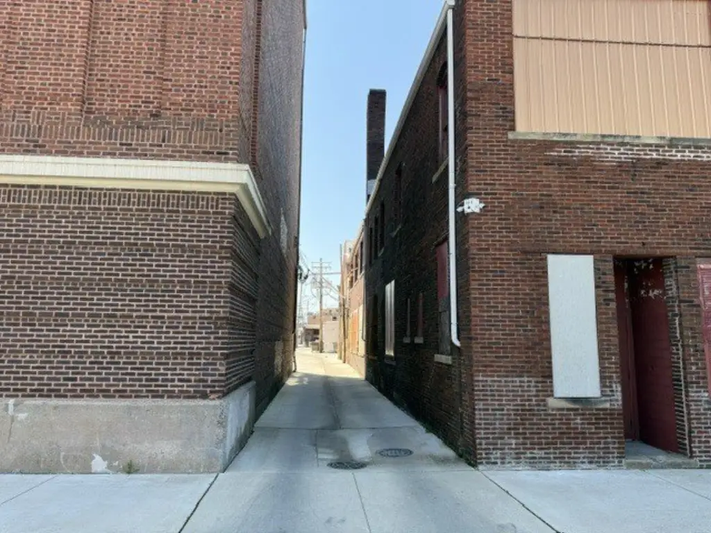 Picture 11