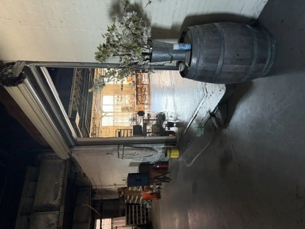Picture 15