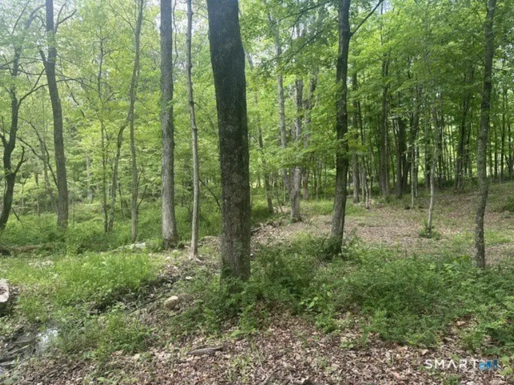 Picture 14