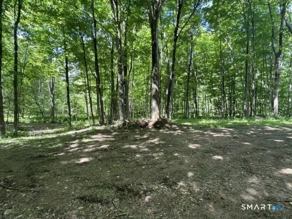 Picture 13