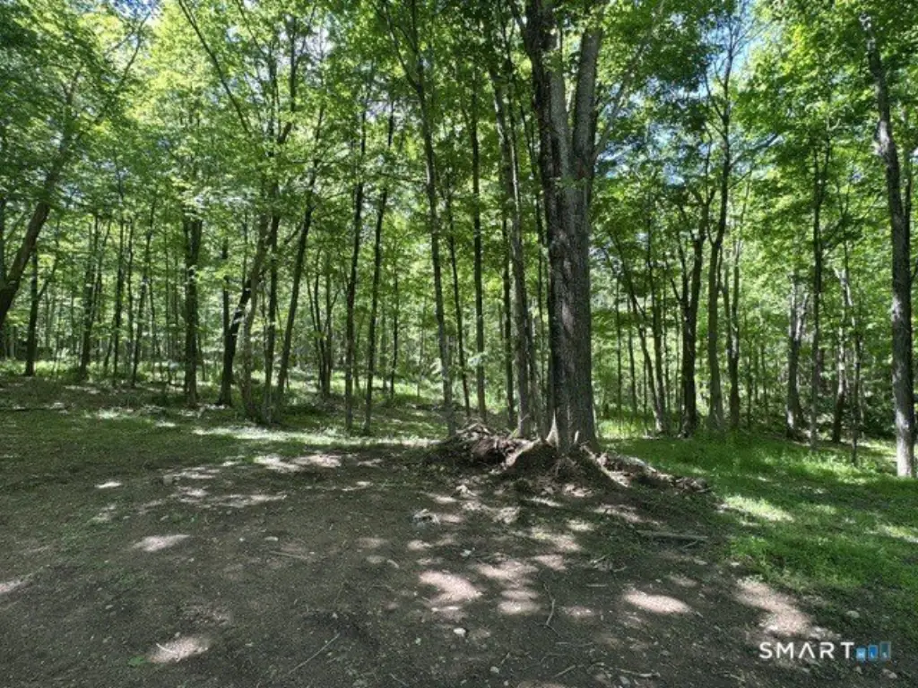 Picture 11