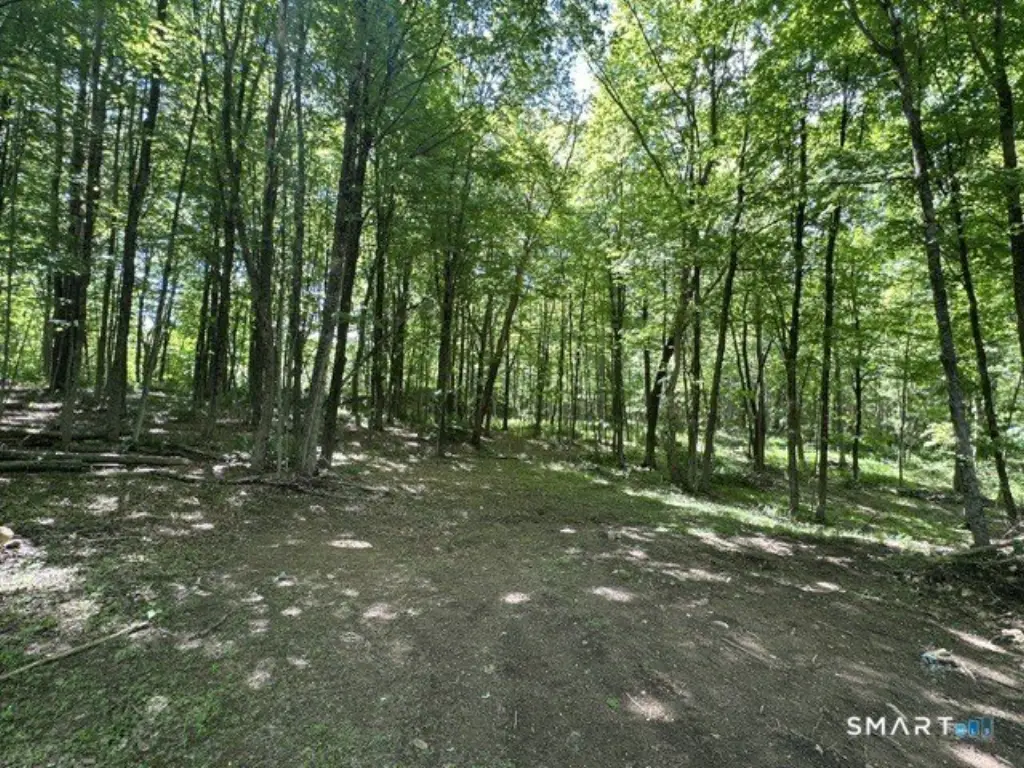 Picture 10