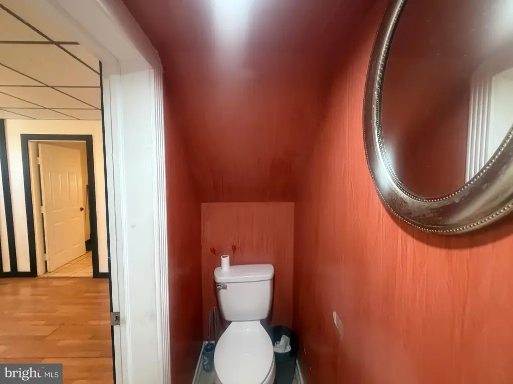 Picture 21