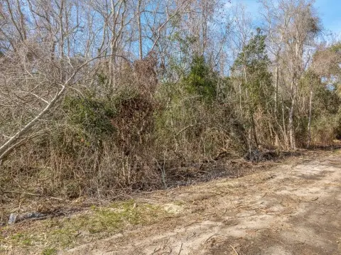 Apalachicola Building Site Opportunity