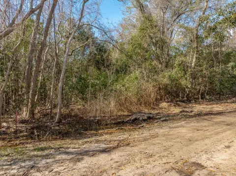 Apalachicola Residential Land Opportunity