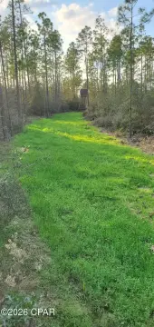 Southport Timberland with Recreational Potential