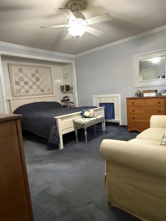 Picture 8