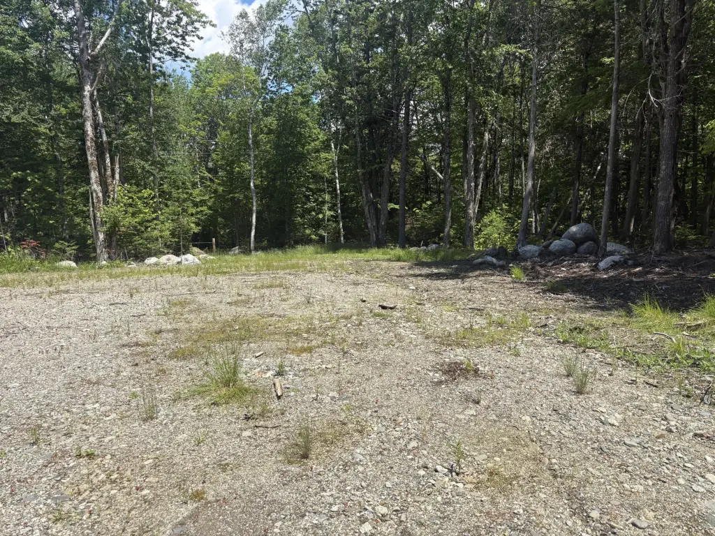 Picture 11