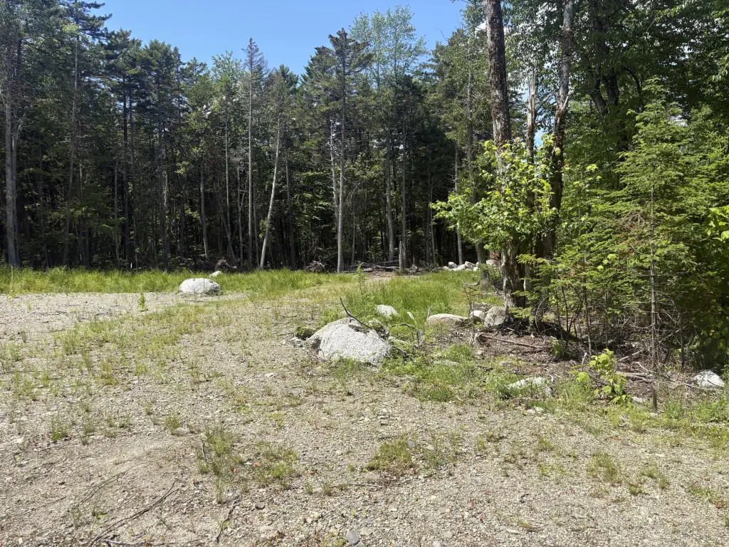Picture 5
