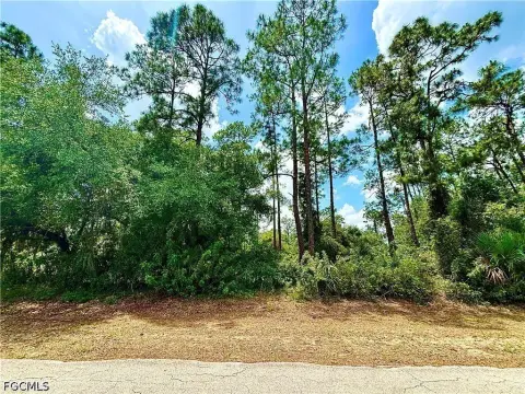 Lehigh Acres Land Opportunity