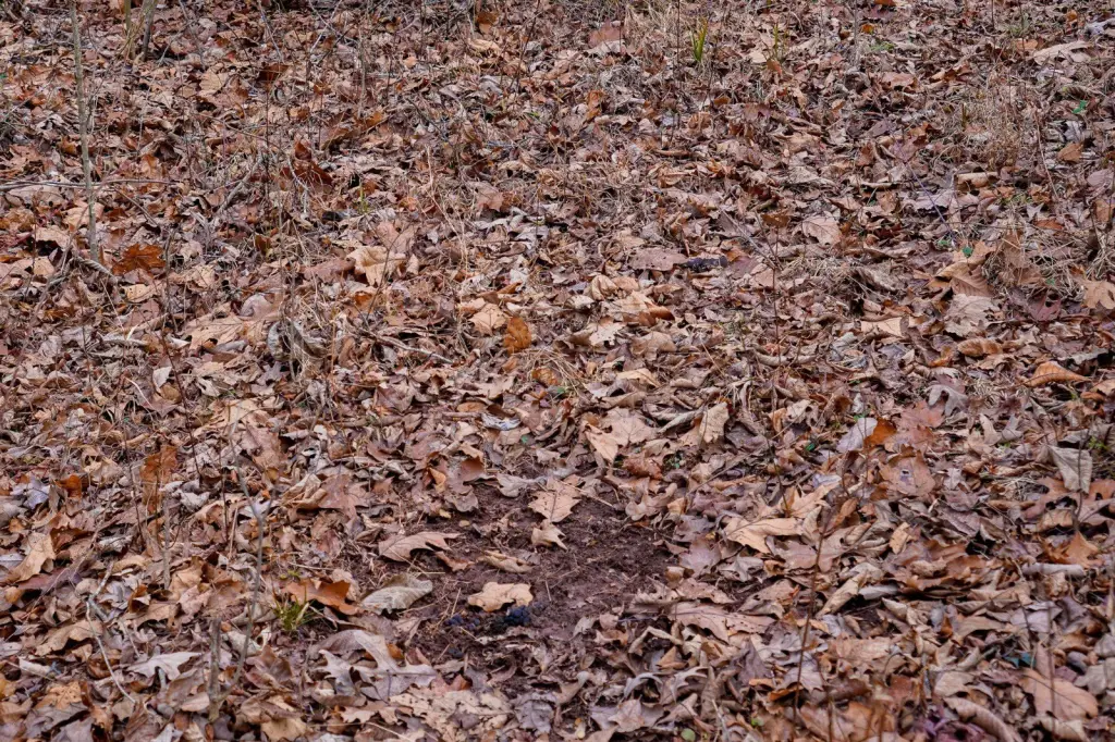 Picture 40
