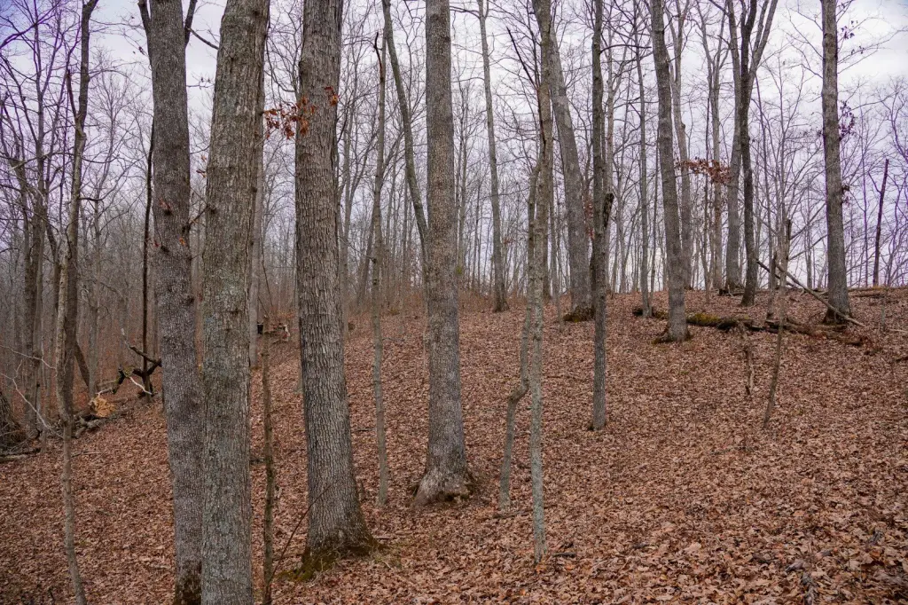 Picture 43