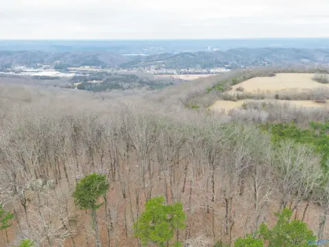 Bluff-View Lot in Fort Payne