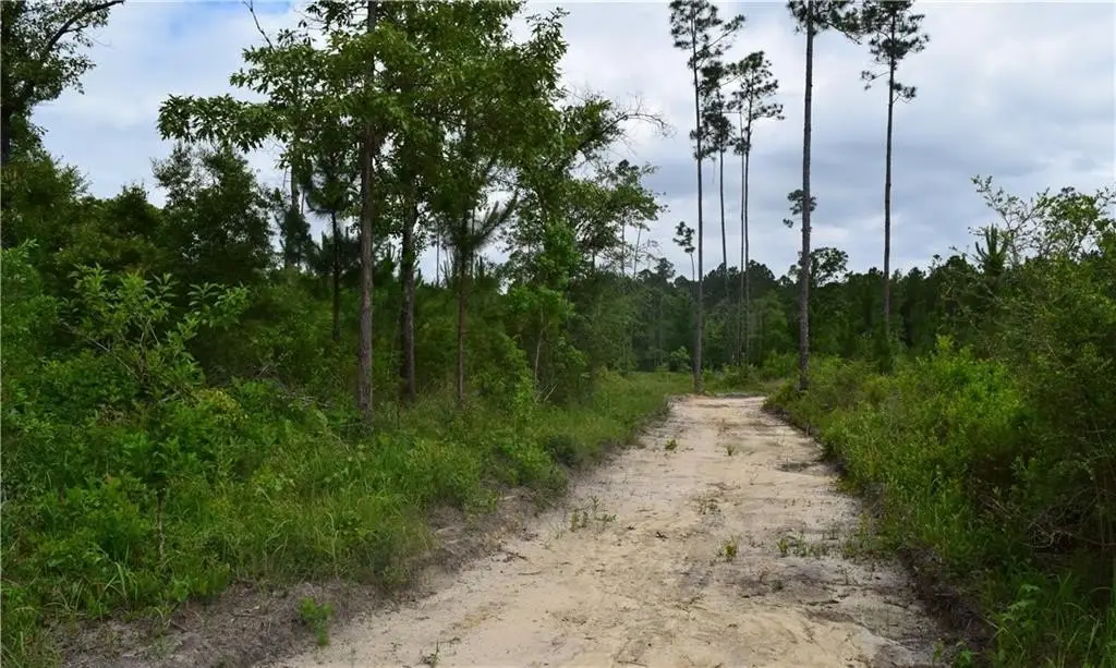 Picture 4