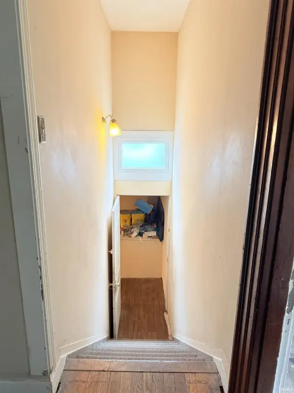 Picture 19