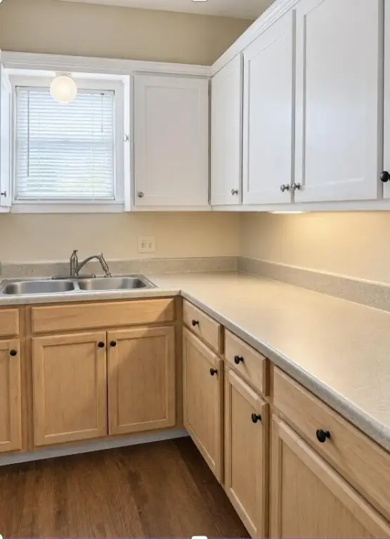 Picture 12