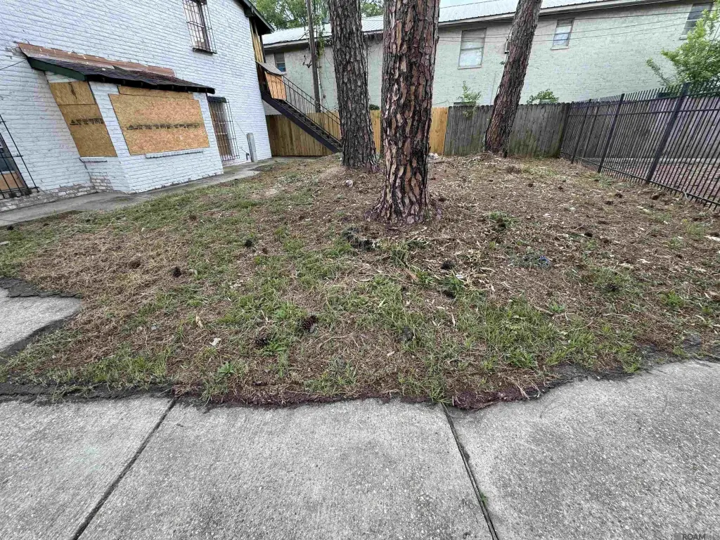 Picture 15