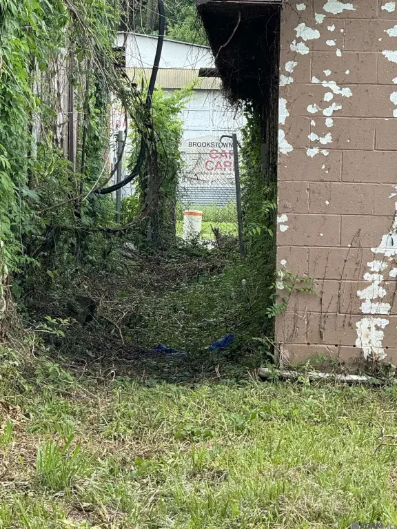 Picture 21