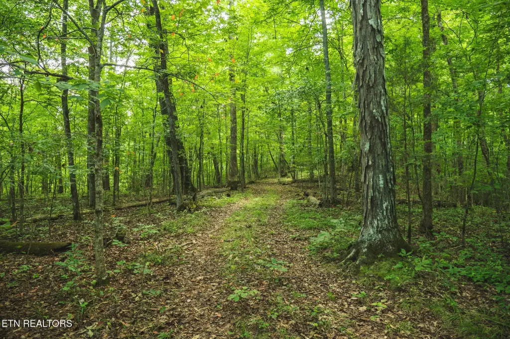 Picture 44