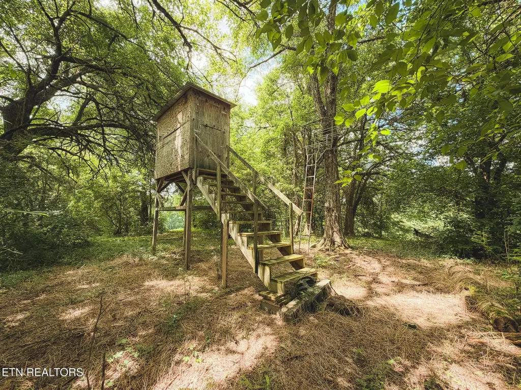 Picture 38