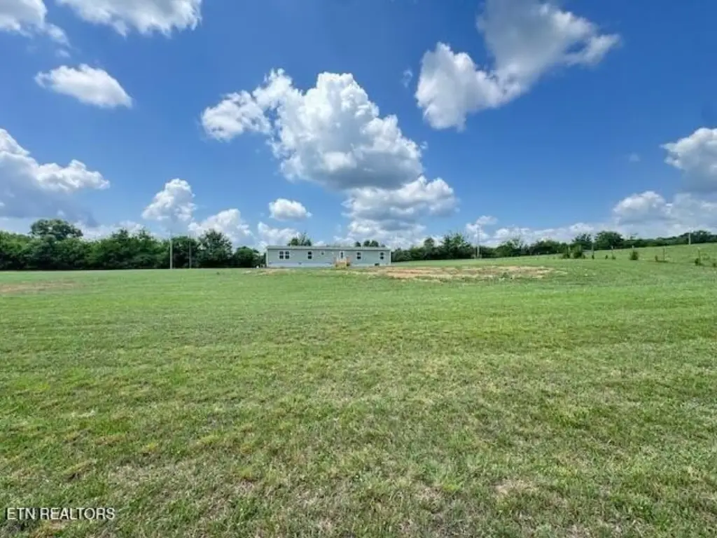 Picture 16
