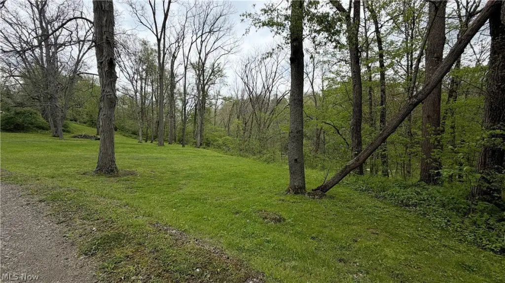 Picture 22