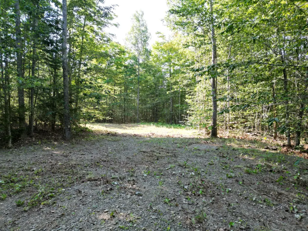 Picture 7