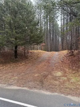 Two Buildable Lots in Virginia