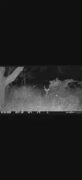 Vacant Land in Springport, MI