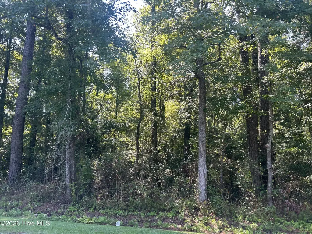 Picture 18