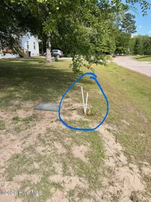 Picture 15