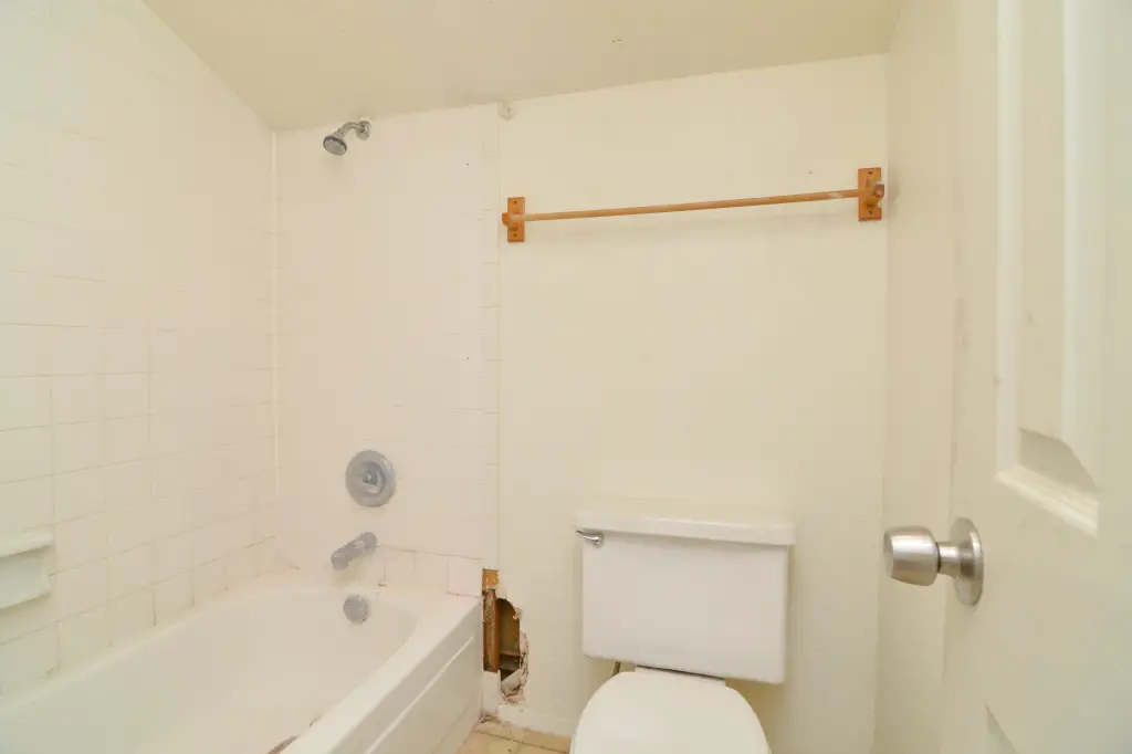 Picture 47