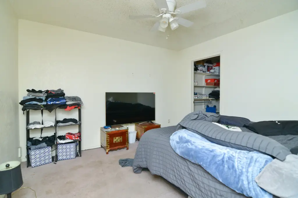 Picture 14