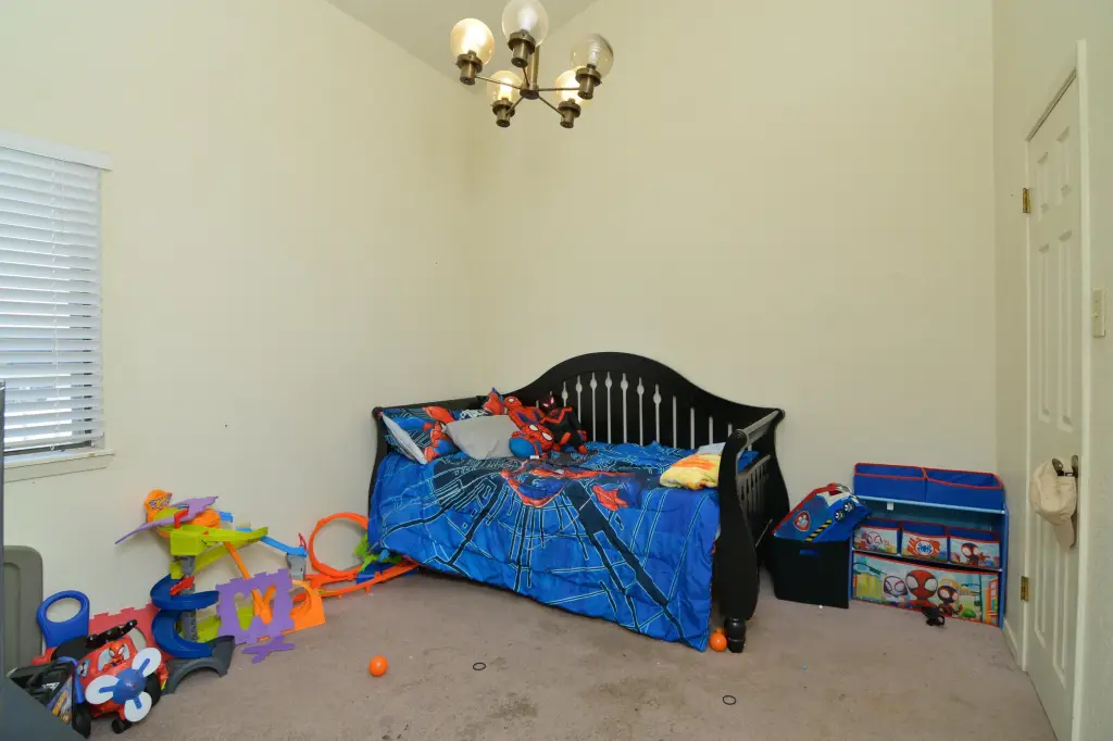 Picture 11