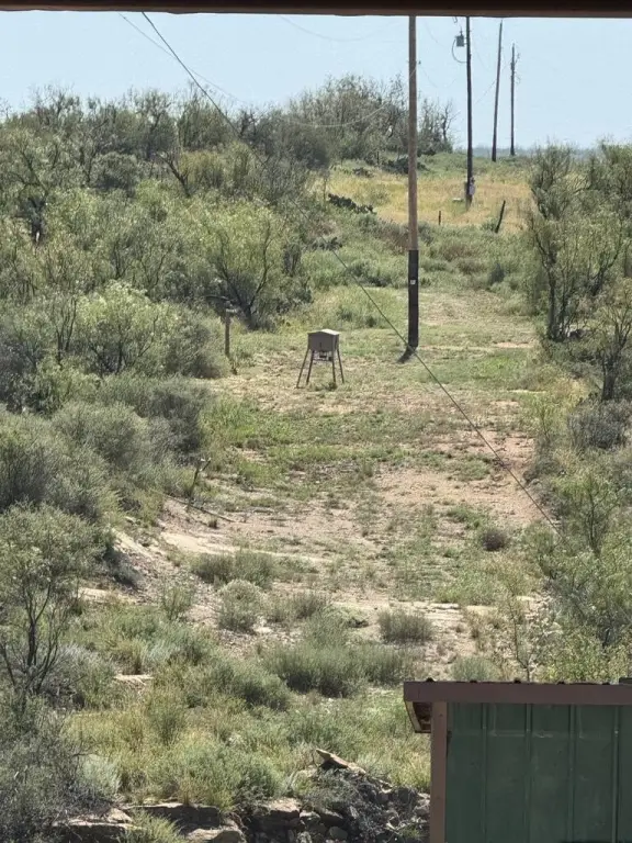 Picture 21